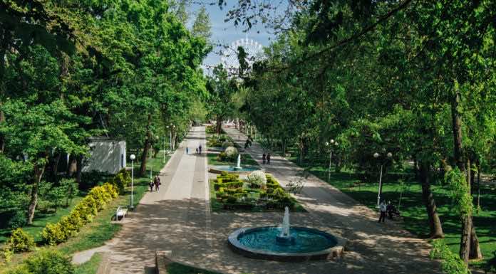 Художественный проект «Яблочный Спас» «Яблочный Спас»