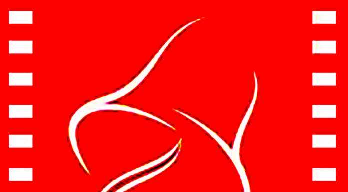 В Краснодаре пройдёт XIX фестиваль православных фильмов