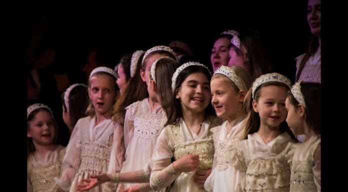 Архиерейская елка 2018