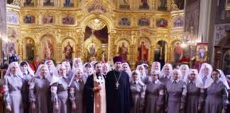 Екатерининское Сестричество милосердия приглашает волонтеров!