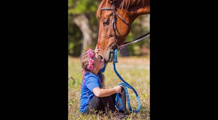 Сюжет о национальном турнире по джигитовке