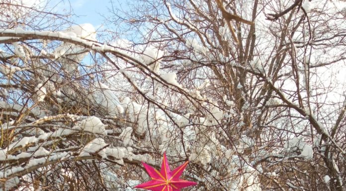 Награда за сказку