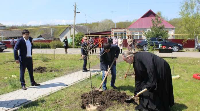 Жители хутора Свободный приняли участие во всероссийской акции по высадке деревьев в память о погибших в годы Великой Отечественной войны