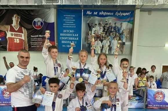 В посёлке Афипском состоялось первенство Северского района по тхеквондо ГТФ