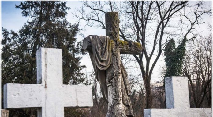 На Всехсвятском кладбище пройдет субботник