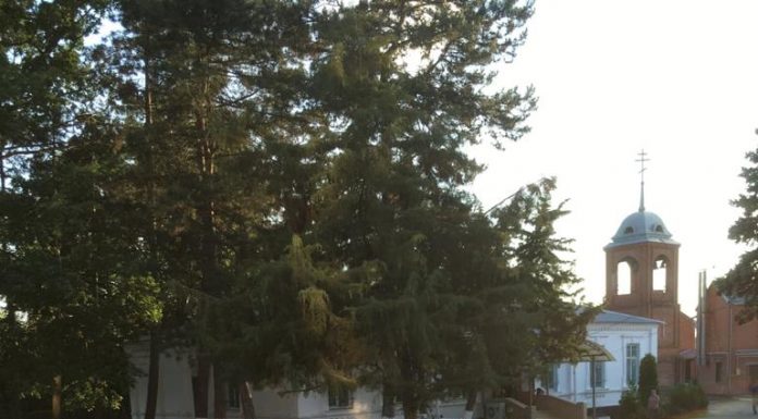 Прошло отчетное собрание казаков Пашковского Станичного Казачьего Общества