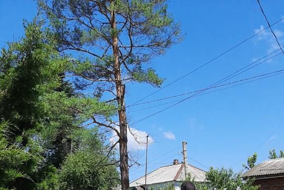 Поход по местам боевой славы