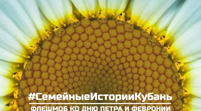 Запускаем флешмоб #СемейныеИсторииКубань