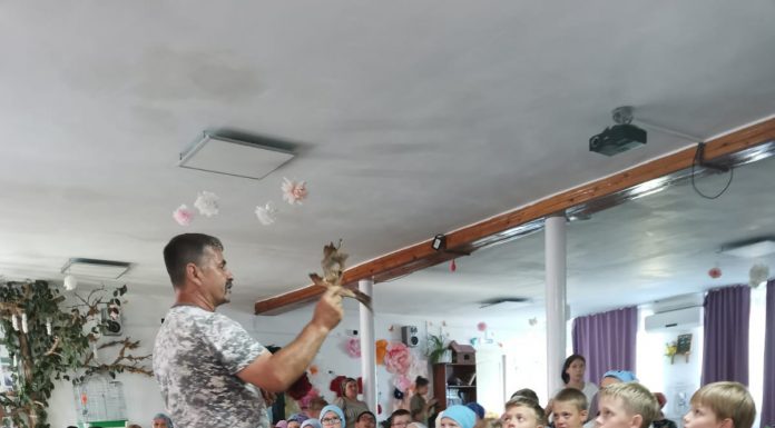 Живая история