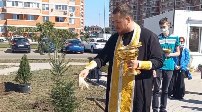 Иерей Павел Уваров вместе с прихожанами совершил высадку двух хвойных деревьев