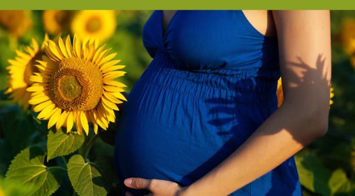 Возобновляются очные курсы психологической подготовки к беременности и родам