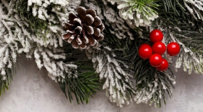 В Троицком храме Горячего Ключа стартовала акция «Елка желаний»