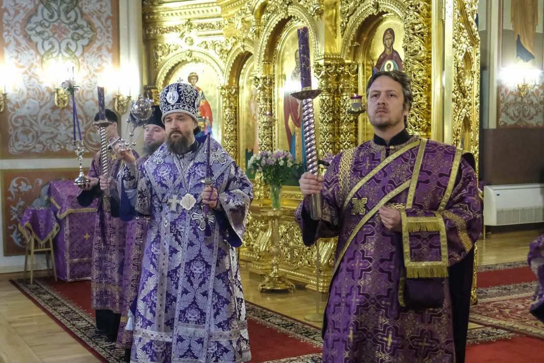 51948823410_709d4f60ec_k