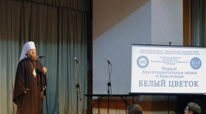 Сюжет телеканала Краснодар о концерте для учителей и начале благотворительной акции «Белый цветок»