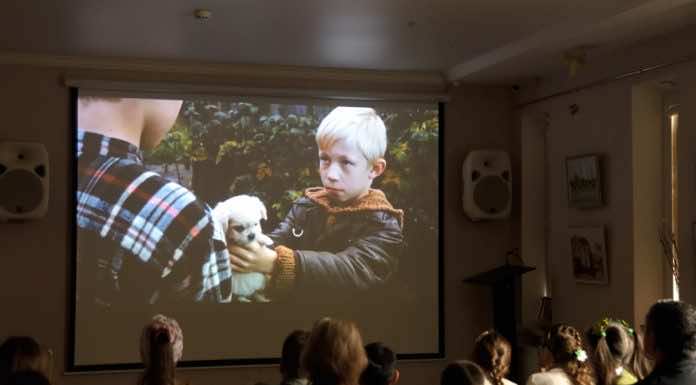 В Семейном киноклубе состоялся просмотр и обсуждение фильма «Щенок»