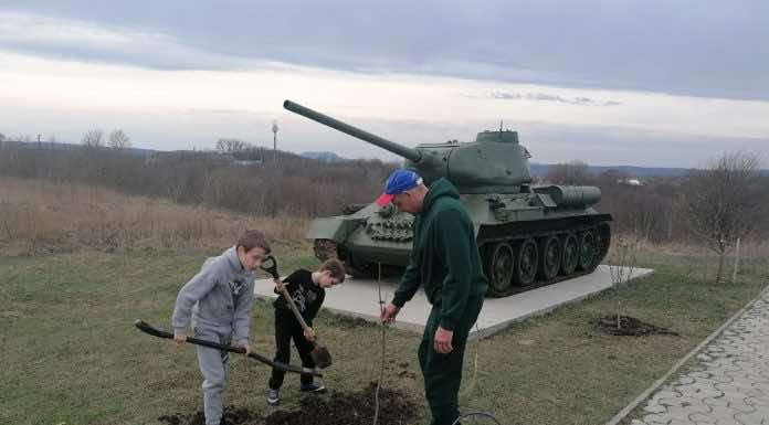 В парке «Патриот» у Спиридоньевского храма в станице Северской высадили 40 клёнов