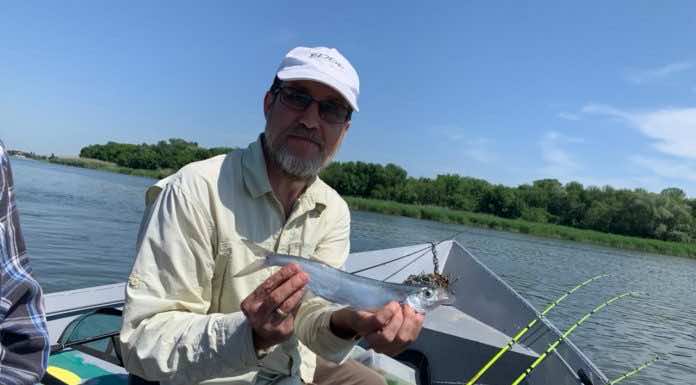 Приглашает клуб отцов. Тема встречи — рыбалка