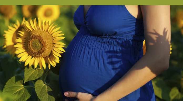 Приглашаем на курсы для беременных при Ильинском храме Краснодара