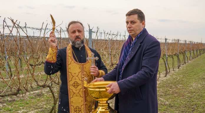 В КубГАУ состоялся молебен святому Трифону, покровителю виноградарей