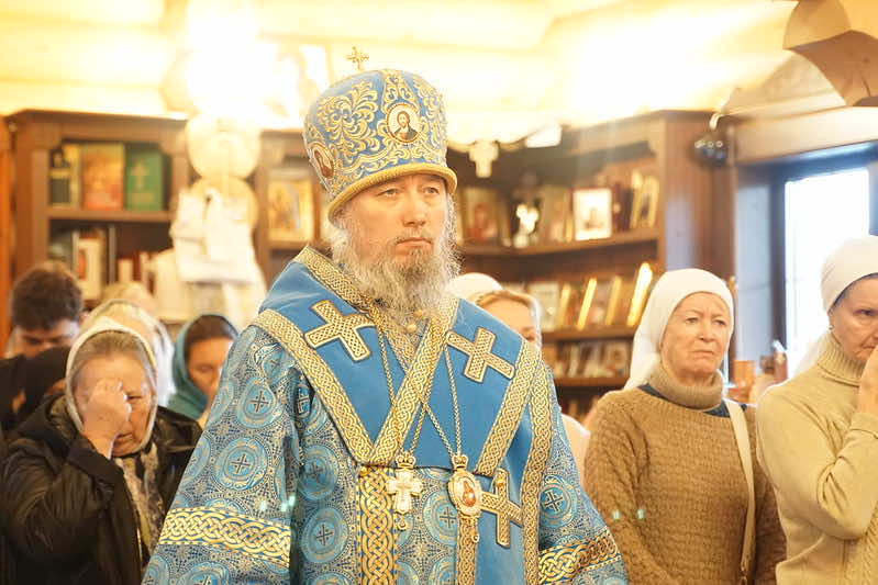 54939293161_315aaa58ba_c