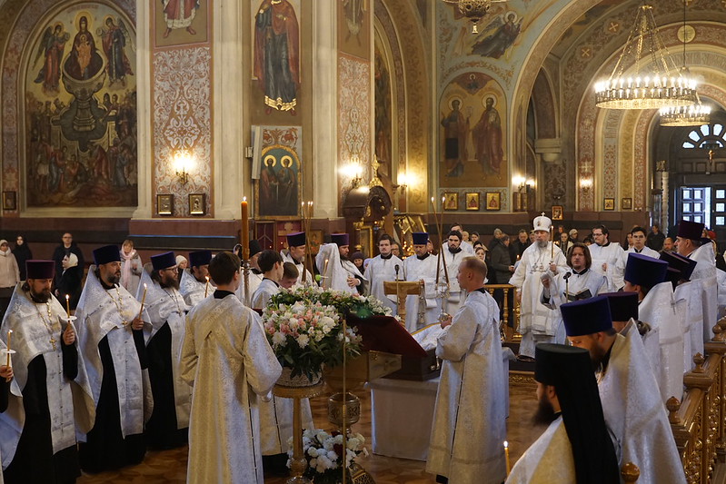 54997036461_c87bb1d86f_c