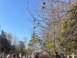 Прихожане и настоятель храма святителя Николая посетили могилу протоиерея Трофима Лозового