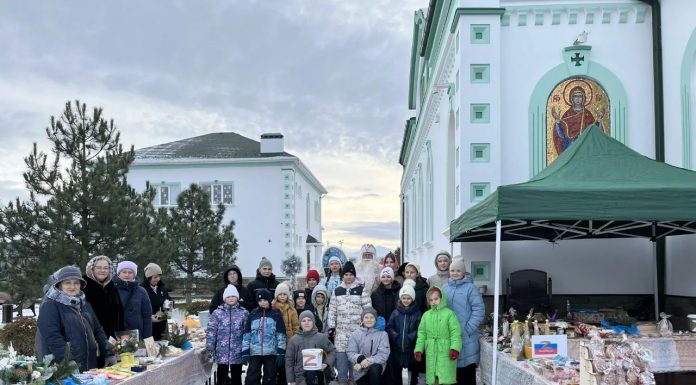 Рождественская ярмарка в помощь участникам СВО прошла в станице Динской
