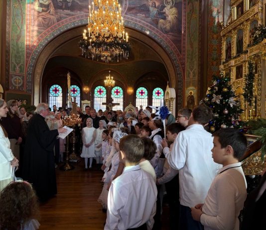 В храмах Екатеринодарской епархии прошли праздничные мероприятия, посвященные Рождеству Христову