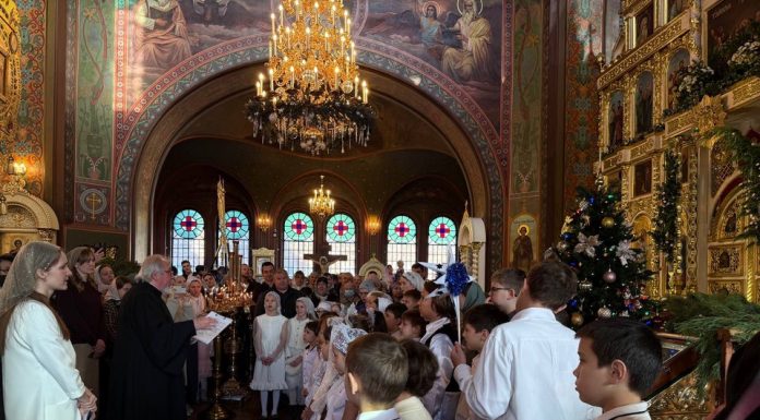 В храмах Екатеринодарской епархии прошли праздничные мероприятия, посвященные Рождеству Христову