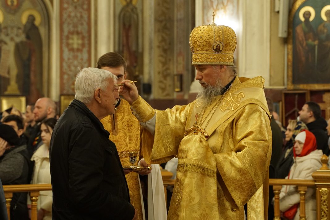 55121279075_ea5291658d_k