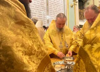 Митрополит Василий принял участие в торжествах, посвященных 17-ой годовщине интронизации Святейшего Патриарха Московского и всея Руси Кирилла