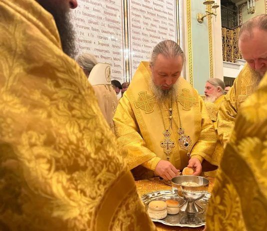 Митрополит Василий принял участие в торжествах, посвященных 17-ой годовщине интронизации Святейшего Патриарха Московского и всея Руси Кирилла