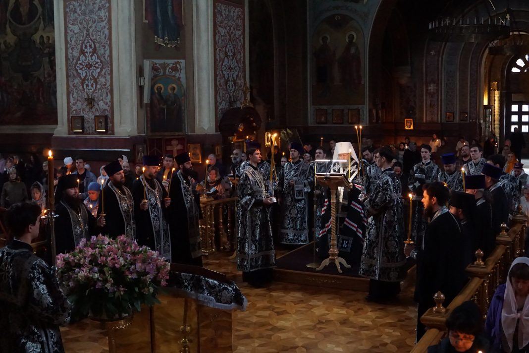 55167204697_3797dd2870_k