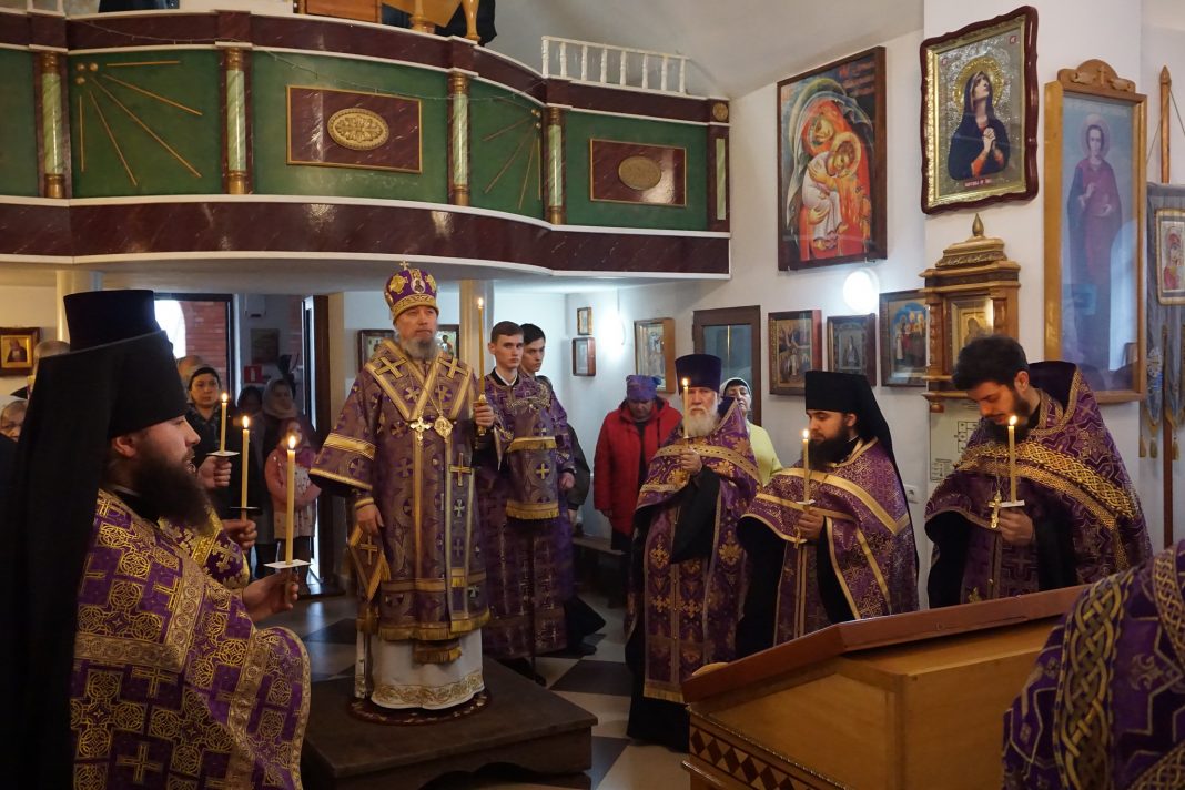 55173810895_17144f4344_k