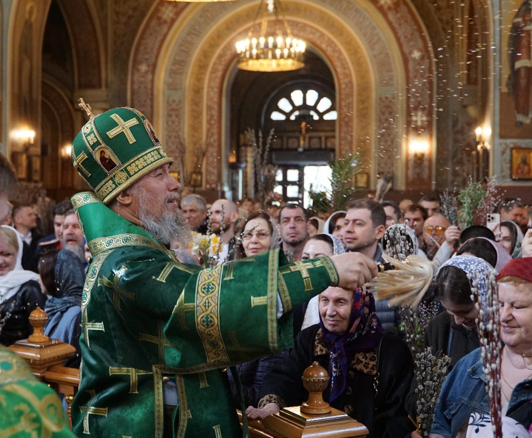 55188783193_91f6a55593_k