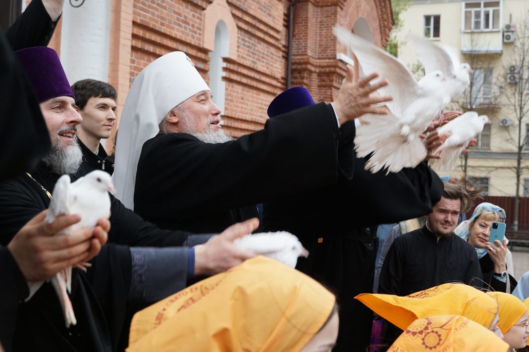 55193123425_9e6b6ec276_k