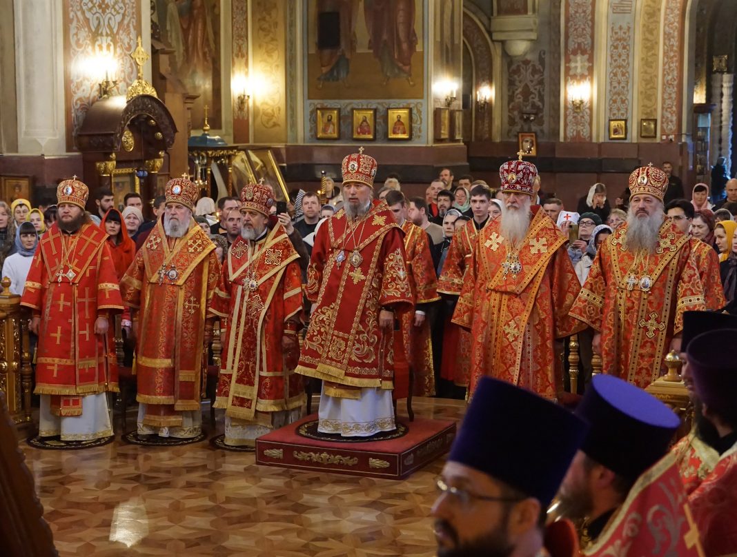 55205700395_6d95ad79b8_k