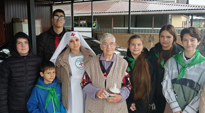 Активисты молодежного объединения Свято-Троицкого храма приняли участие в благотворительной акции