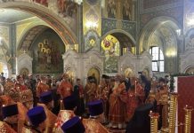 Митрополит Екатеринодарский и Кубанский Василий принял участие в торжествах, посвященных Собору святых Ставропольской митрополии