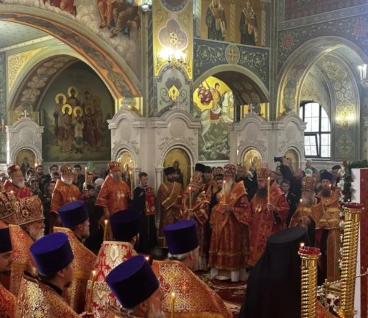Митрополит Екатеринодарский и Кубанский Василий принял участие в торжествах, посвященных Собору святых Ставропольской митрополии