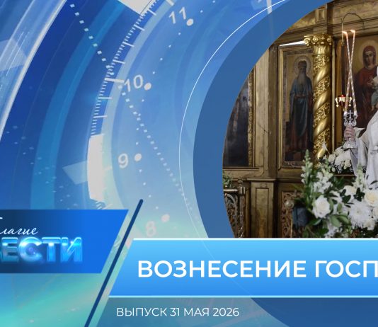 Епархиальная программа «БЛАГИЕ ВЕСТИ». Выпуск 31 мая 2026 года