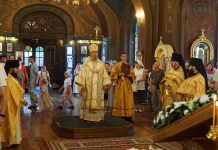 Митрополит Василий совершил Божественную литургию в Свято-Троицком соборе города Краснодара
